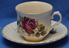 art nr: 194 vintage Old Foley Staffordshire Engels kop en schotel