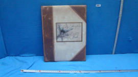 art nr: 363 lady Cottington's pressed fairy book