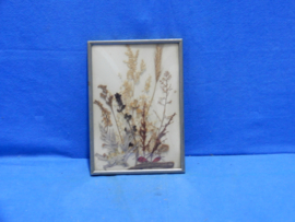 art nr: 1084 antieke zilveren fotolijst met bol glas