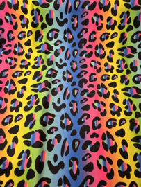 Panter regenboog