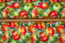 Stenzo tricot digitaal 25287-10 ''Apple Orchard'' print