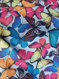 Terlenka multi color vlinders
