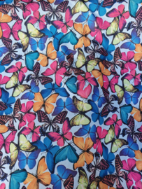 Terlenka multi color vlinders