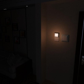 2 x LED-nachtlampje plug-in/stopcontact -nachtlampje met dag/nacht sensor - plugin ledlamp – Nachtlampje - warm licht – dimbaar – Voor in de baby/kinder kamer
