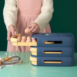 EGG BOX - Opbergbox Eierhouder Eierdoos Koelkast Organizer - Blauwe Ei