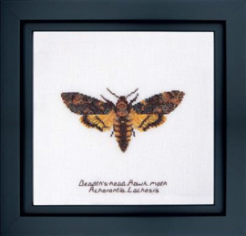 Kruissteekpakket: Death's-head Hawk moth