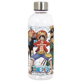One Piece Plastic Bottle 850 ML