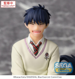Blue Exorcist PM Perching PVC Figure Rin Okumura 14 cm - PRE-ORDER