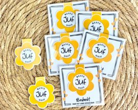 Magnetische boekenlegger “beste juf ooit” – juf bedankje cadeau