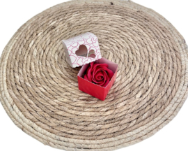 Zeeproos in geschenkdoosje 'Voor de liefste Mama'