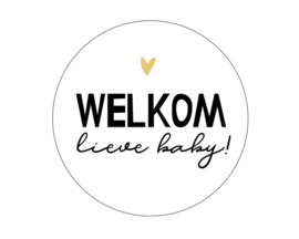 Stickers | 'Welkom lieve baby'