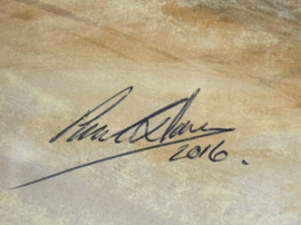 Aquarel met racewagen blauw