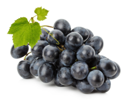 Druiven blauw 1 kg (pitloos)
