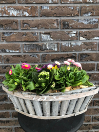 Plantenarrangement -fleurig ovaal medium-