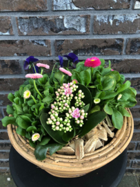 Plantenarrangementen buiten