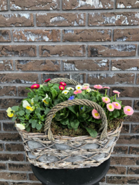 Plantenarrangement -fleurig ovaal-