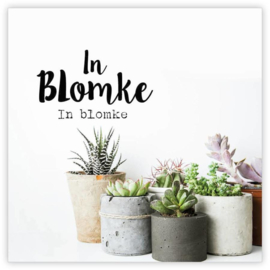 In Blomke  -GiveX-