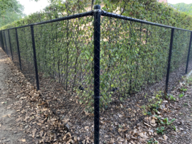 Draad-pakket met losse palen 2,00 meter hoog - Lengte 25 meter