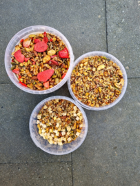 Granola | 300 gram