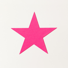 Ster neon roze sluitstickers (5 stuks)