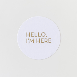 Hello I'm here sluitstickers (5 stuks)
