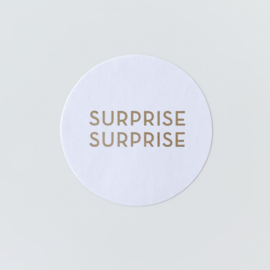 Surprise surprise sluitstickers (5 stuks)