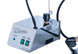 DIANA Stoomgenerator met 0,8 l boiler en strijkijzer