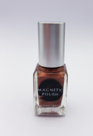 Nail Selection For Professionals - 6 ml- MAGNETIC NAIL POLISH -BROWN