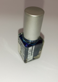 Nail Selection For Professionals - 6 ml- MAGNETIC NAIL POLISH -BLUE