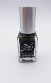 Nail Selection For Professionals - 6 ml- MAGNETIC NAIL POLISH -BLACK