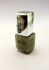 Nail Selection Magic Rainbow vernis effet gris argenté