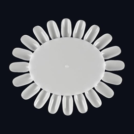 2 pieces of artificial nails for manicure training, nail wheel, nail sample ring, plastic display tray for nail samples and manicure