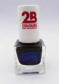 2B Colours Addicted To The Night Nagellak 6 ml effect nagellak