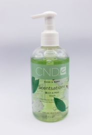 CND SCENTSATIONS   HAND&BODY BIRCH&MINT WAS 245 ml