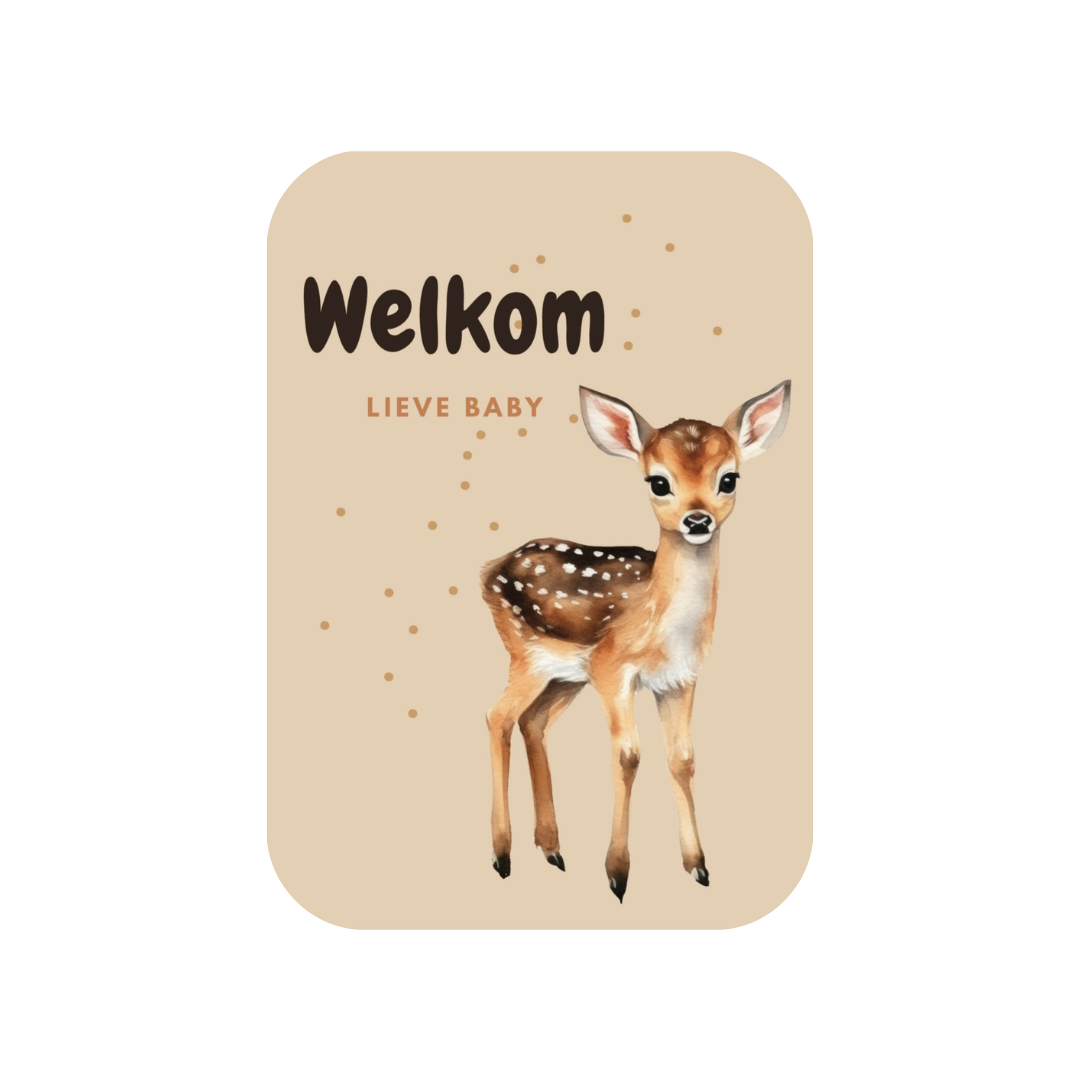 JillzBeads kaart | Welkom lieve baby