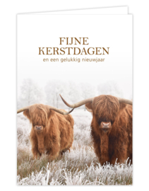 Cadeau set | Kaarten | Enveloppen + stickers