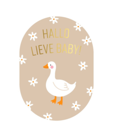 Kaart | Hallo lieve baby!