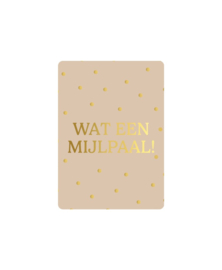 Mini kaart | Wat een mijlpaal!