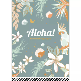 Kaart | Aloha!