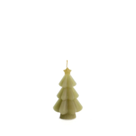 Kaars | Kerstboom S | Tijm
