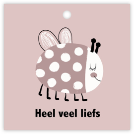 Mini kaart | Heel veel liefs