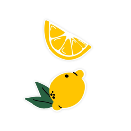 Lemons | Mix  - 10 stuks