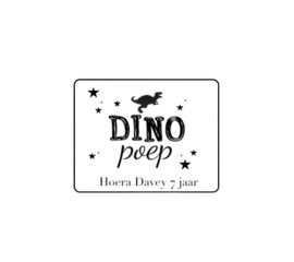 Dino poep | Naam & leeftijd stickers | 5 stuks