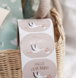 Hallo lieve baby | Ooievaar - 10 stuks