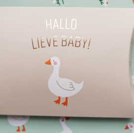 Gondeldoosje | Hallo lieve baby!