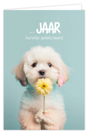 Kaart | ... jaar, hartelijk gefeliciteerd