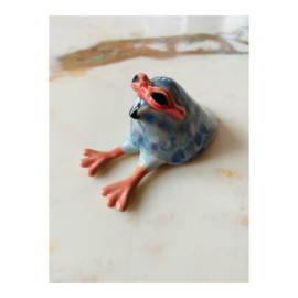 kleiduifje met zonnebril