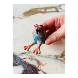 kleiduifje met zonnebril