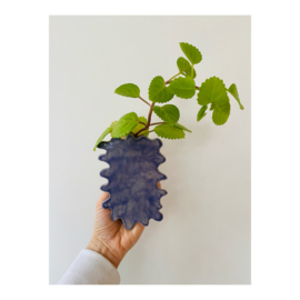 wall vase - whimsical