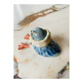 kleiduifje met sjaal